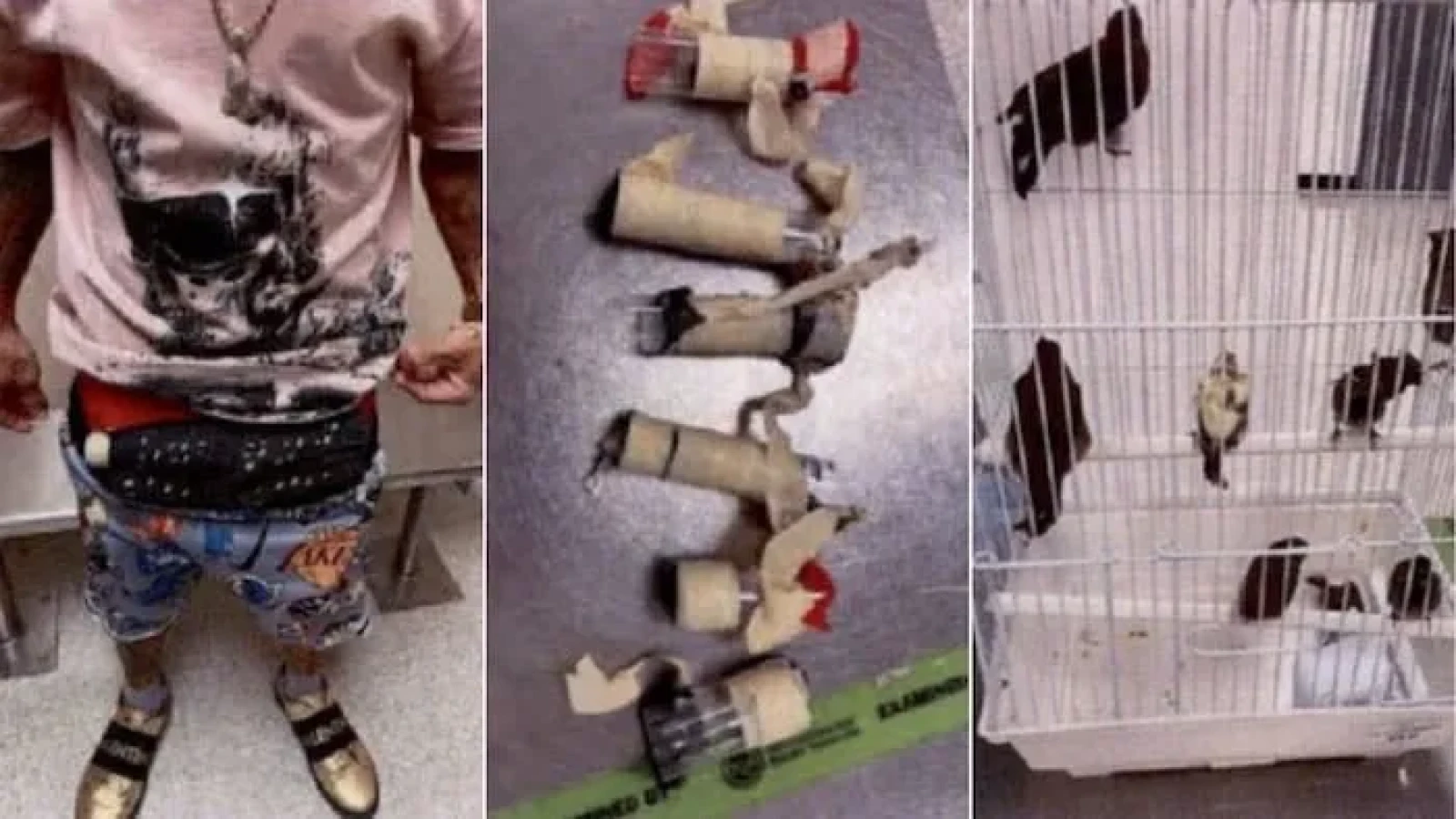 Un bărbat a fost oprit în aeroport pentru că avea o umflătură în zona prohabului: Vameșii au rămas șocați când au început să scoată 11 păsări vii