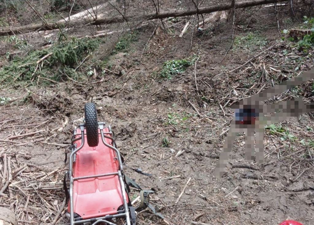 Un bărbat a murit după ce i-a căzut un copac în cap într-o pădure din Crăcăoani din județul Neamț