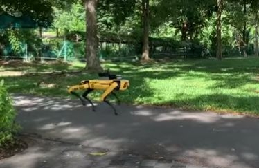 Un caine robot impune distantarea sociala intr-un parc