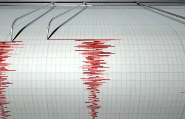 Un cutremur cu magnitudinea de 3,6 grade a avut loc în Vrancea