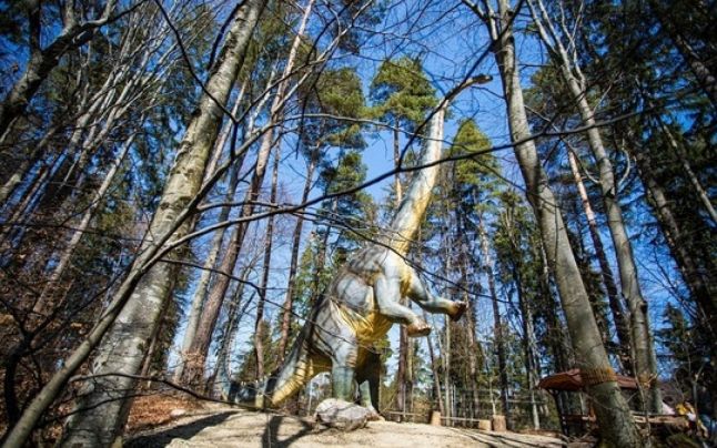 Un dinozaur diplodocus cât un bloc cu patru etaje a apărut în pădurea de la Râşnov