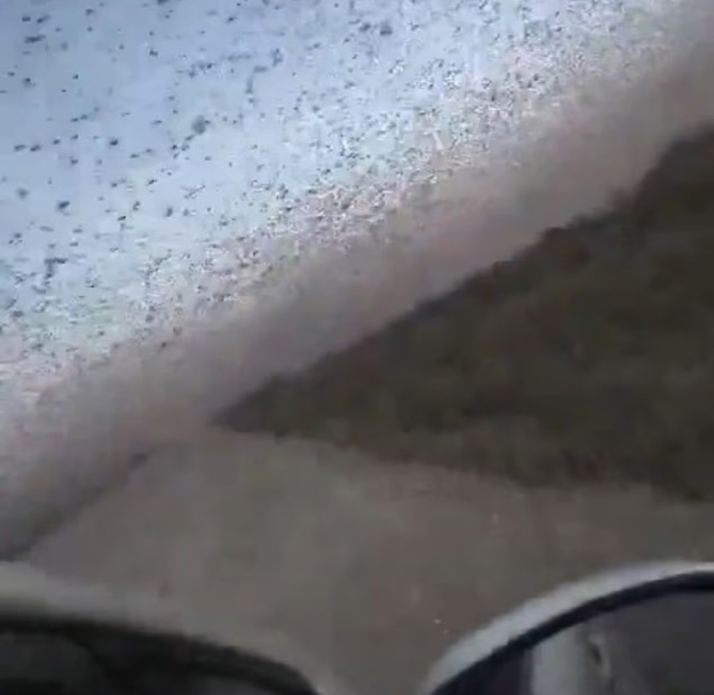 Un eveniment similar cu scrierile din Biblie, produs în Rusia: Invazia a milioane de insecte „ca una dintre cele 10 plăgi