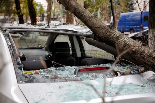 Un ieşean s-a luptat trei ani in instante cu Primăria şi a obtinut despăgubiri de 8.000 de euro dupa ce un copac i-a distrus masina