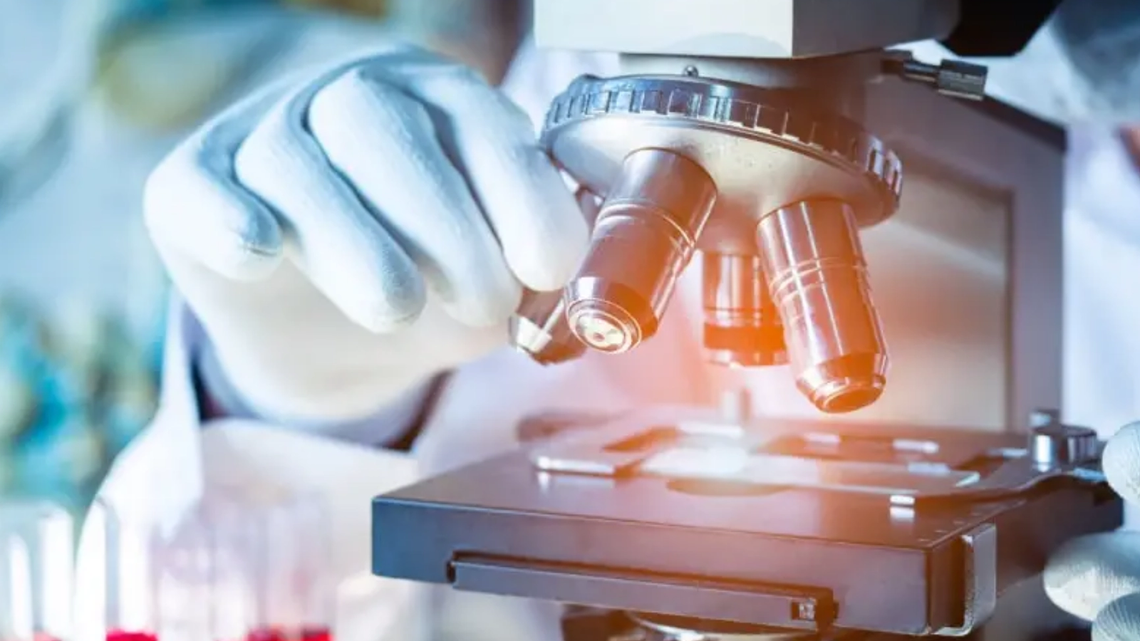 Un studiu genetic schimbă complet istoria migrației umane: Descoperiri surprinzătoare despre drumul strămoșilor
