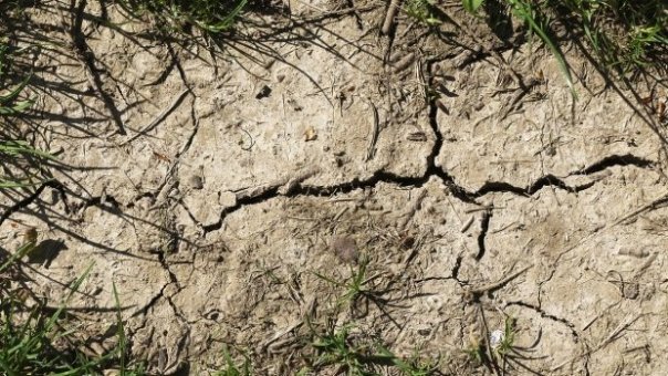 Urmeaza cea mai calduroasa vara dupa 1981. Preturile ar putea creste din cauza secetei