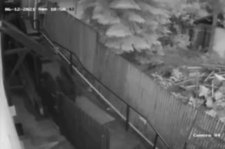 Urs filmat cand urmarea doua persoane prin Sinaia