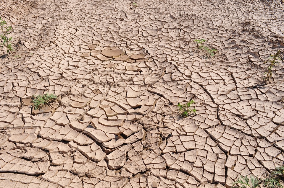 Vara anului 2019, cea mai calduroasa din istoria inregistrarilor meteorologice in emisfera nordica