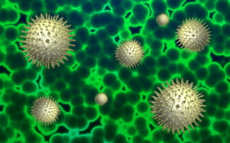 Varianta Deltacron - o armă biologică din eroare?