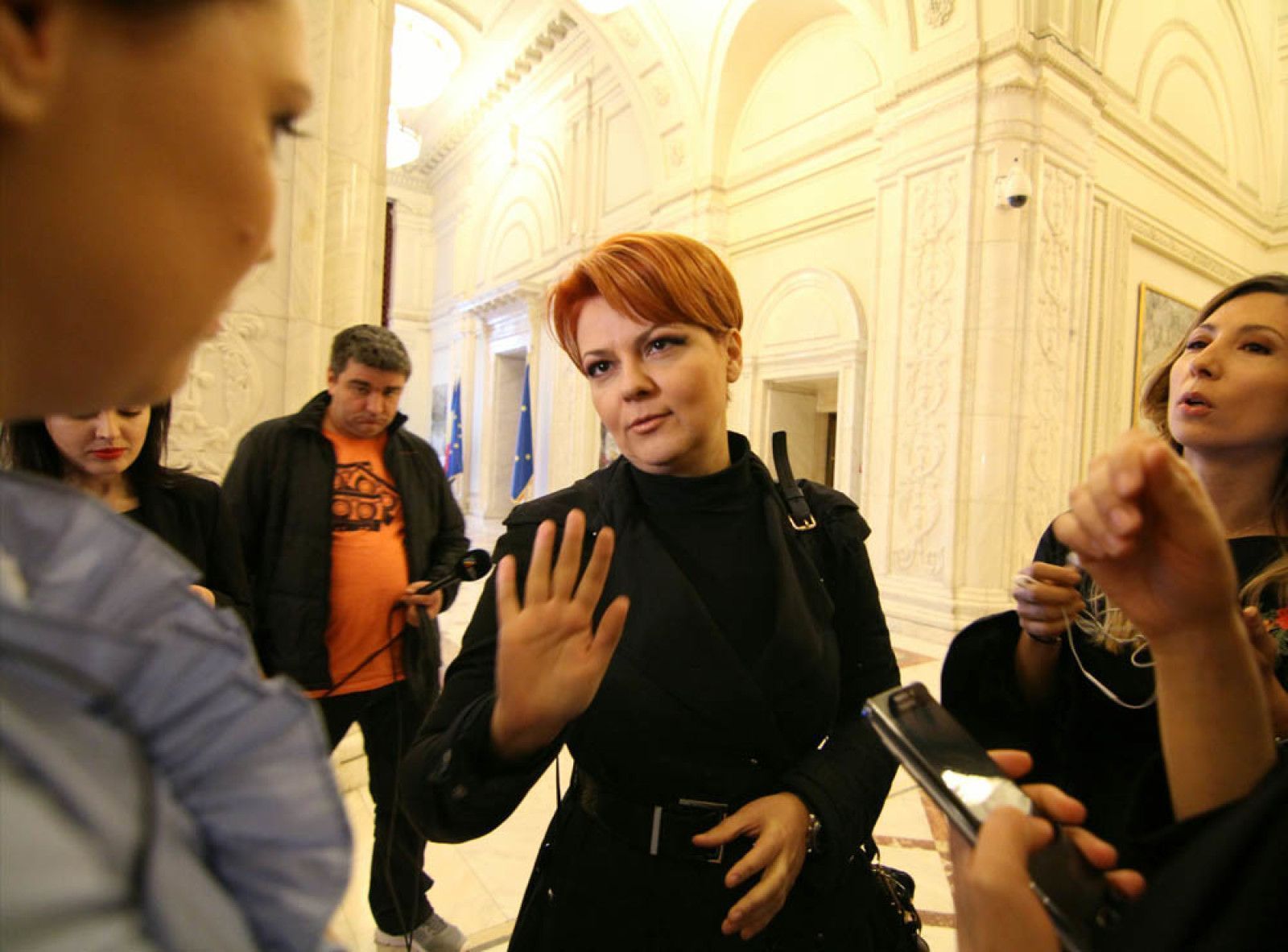 Vasilescu, despre o nouă variantă de plafonare a indemnizațiilor