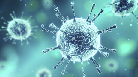 Virusul Zika se propagă într-un ritm exploziv, avertizează OMS