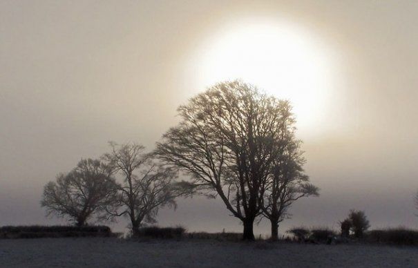 VREMEA. Fenomen METEO neobişnuit pentru luna decembrie